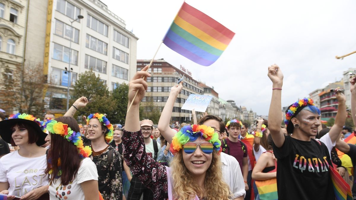 Partnerství pro stejnopohlavní páry je v Česku hotová věc